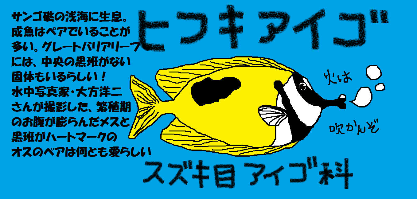 宮古島 魚 図鑑 2615 宮古島 魚 図鑑 Songosaepik