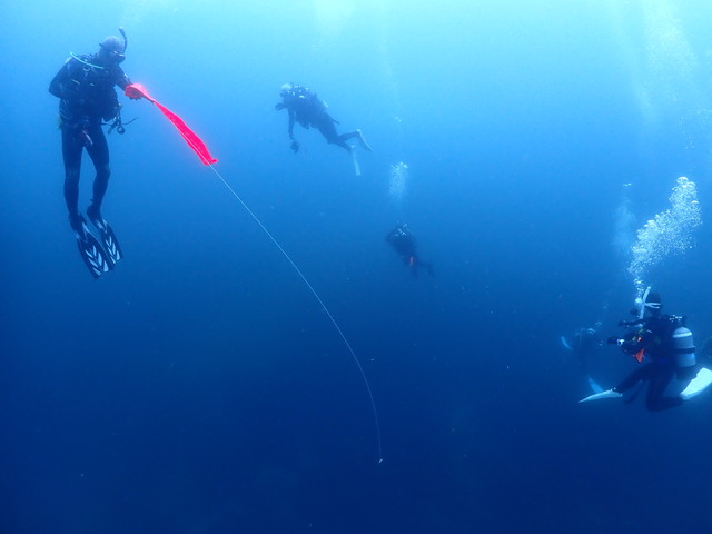 ダイブショップサンライズ　沖ノ島　安全停止