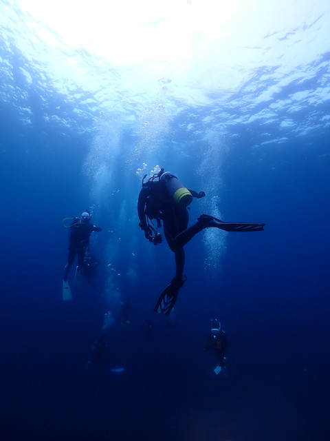 ダイブショップサンライズ　沖ノ島