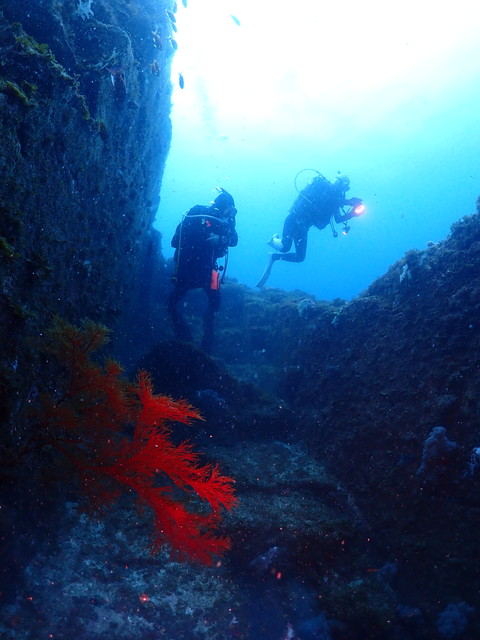ダイブショップサンライズ　沖ノ島　遺跡