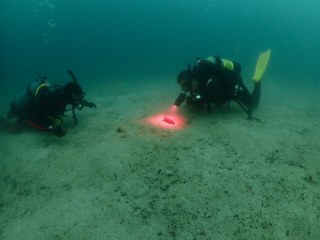 ダイブショップサンライズ　ミジン