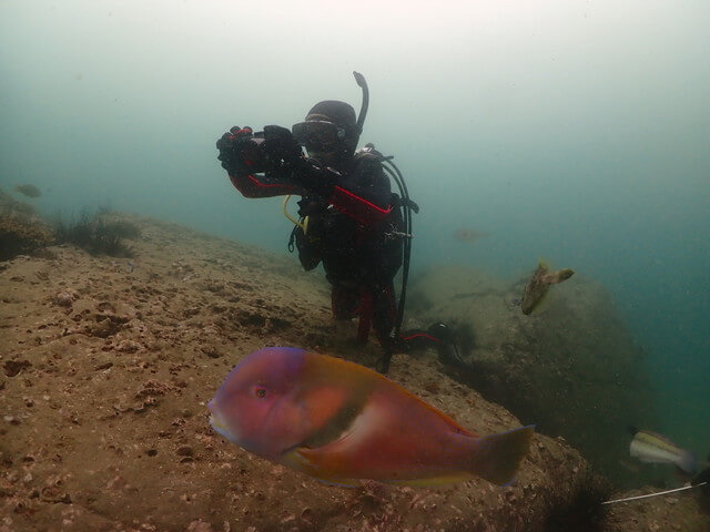 ダイブショップサンライズ　フォト