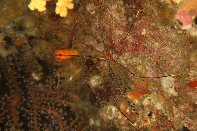 ダイブショップサンライズ　辰ノ口