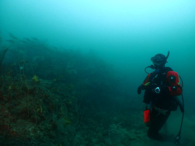 ダイブショップサンライズ　辰ノ口