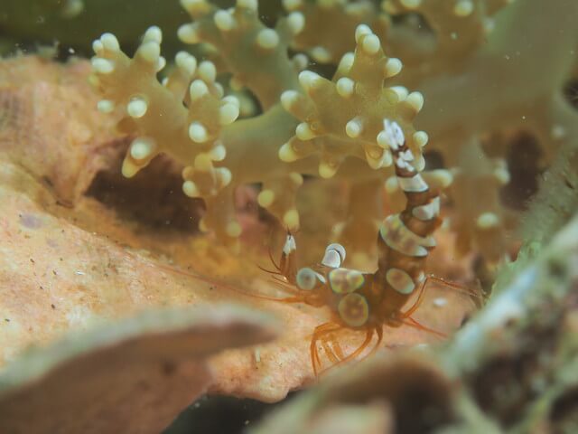 ダイブショップサンライズ　辰ノ口