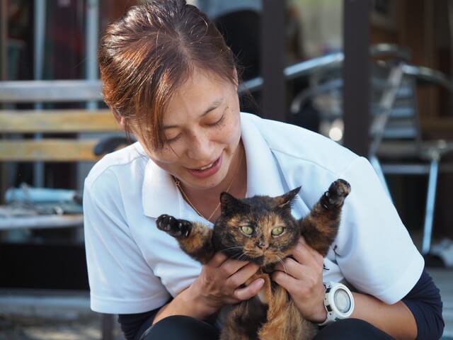 ダイブショップサンライズ　辰ノ口
