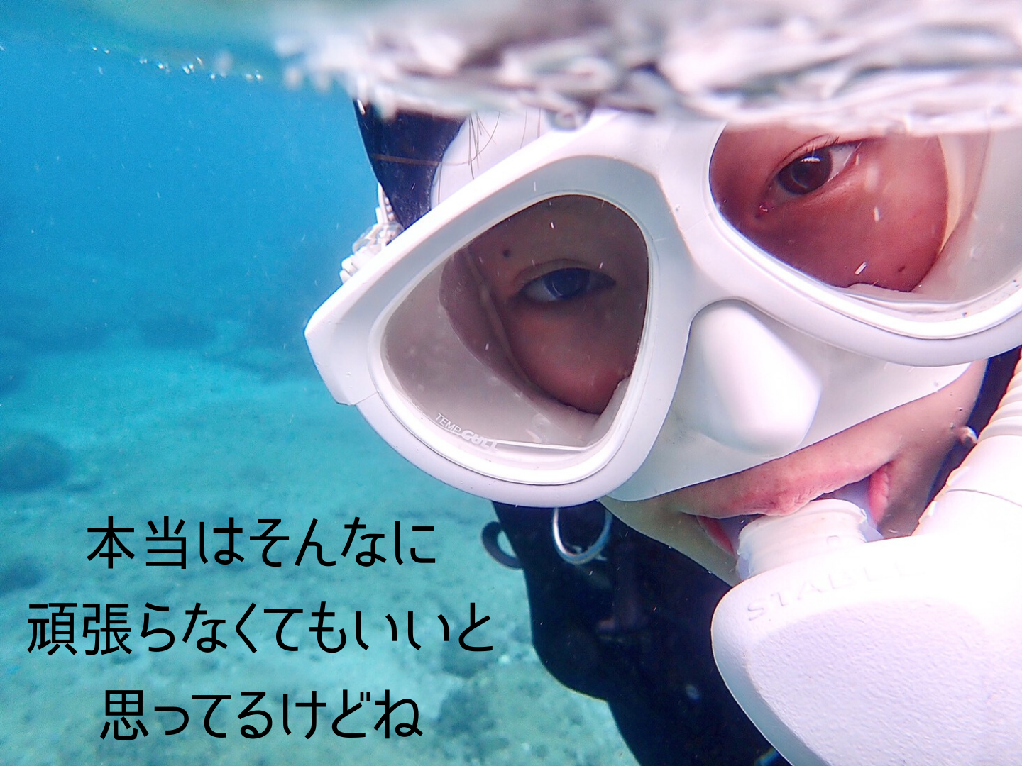 まゆこんぐ