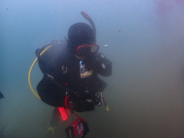 ダイブショップサンライズ　水中