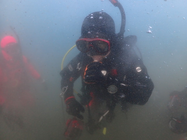 ダイブショップサンライズ　水中