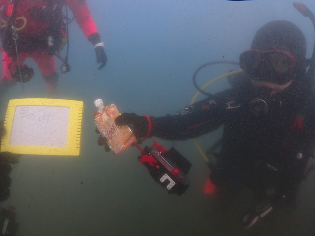 ダイブショップサンライズ　水中