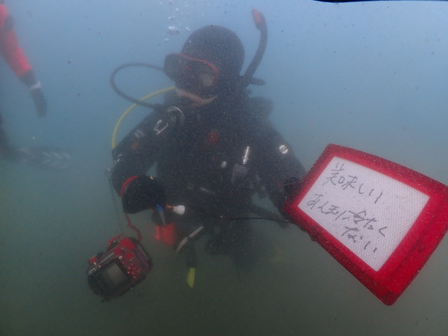 ダイブショップサンライズ　水中