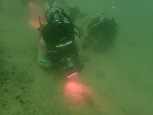 ダイブショップサンライズ　長崎でダイビング