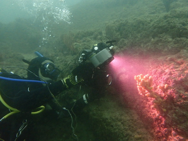 ダイブショップサンライズ　長崎でダイビング