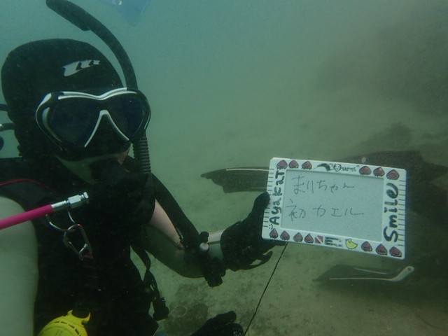 ダイブショップサンライズ　長崎でダイビング