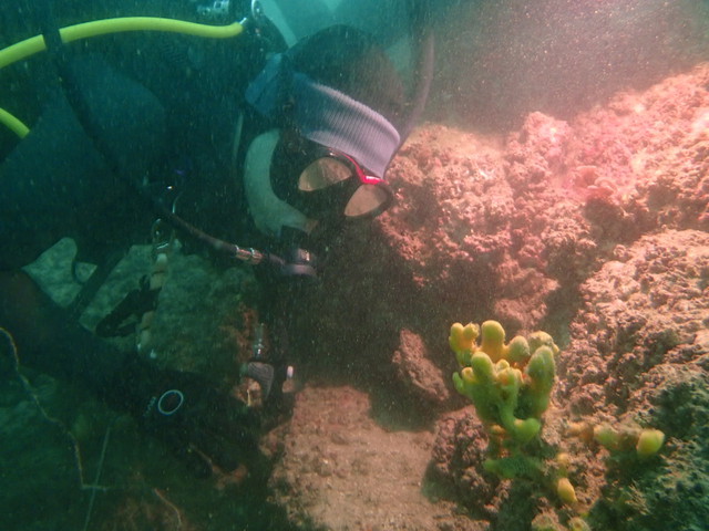 ダイブショップサンライズ　長崎でダイビング