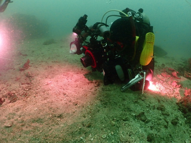 ダイブショップサンライズ　長崎でダイビング