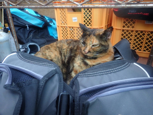 ダイブショップサンライズ　長崎でダイビング