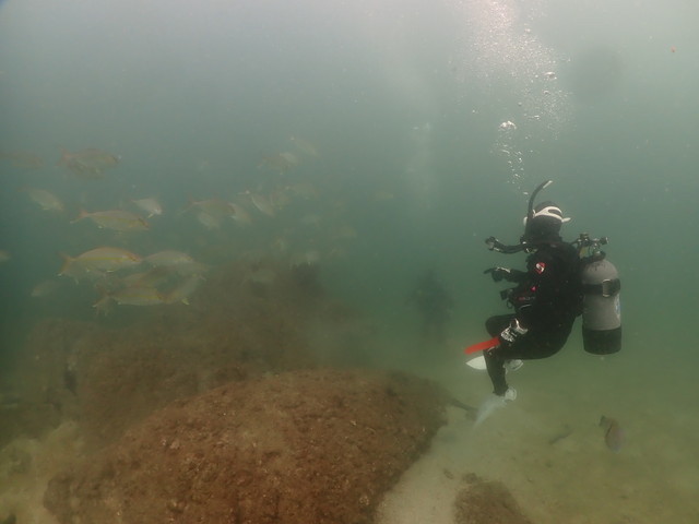 ダイブショップサンライズ　長崎でダイビング