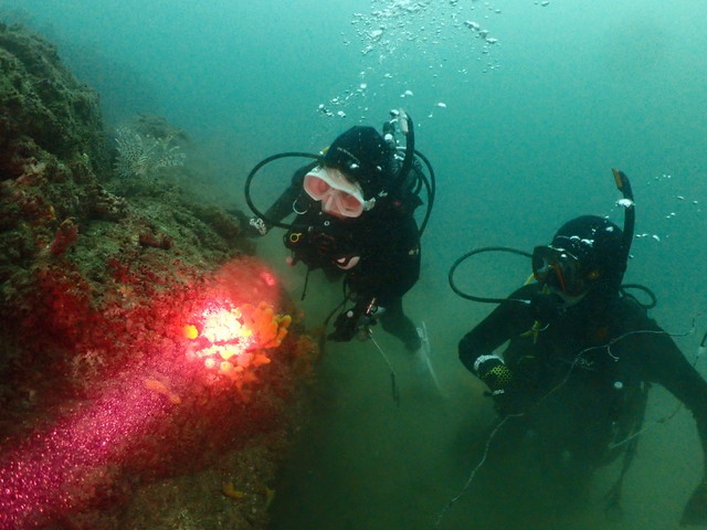 ダイブショップサンライズ　長崎でダイビング