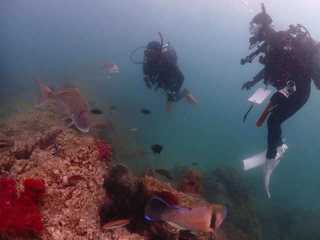 ダイブショップサンライズ　長崎でダイビング