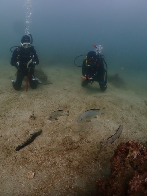 ダイブショップサンライズ　長崎でダイビング