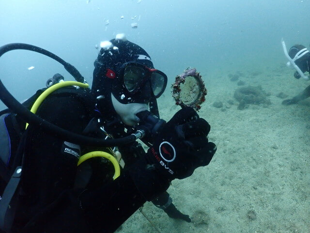 ダイブショップサンライズ　ファンダイブ