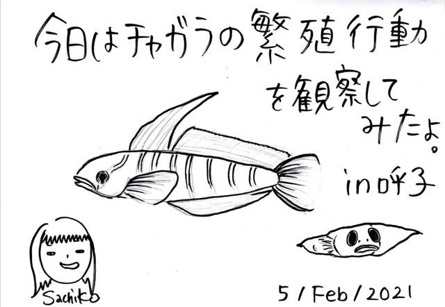 ダイブショップサンライズ　唐津