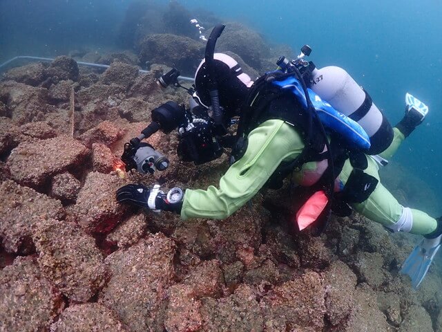 ダイブショップサンライズ　唐津