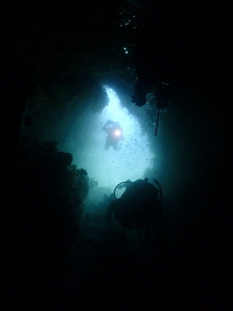ダイブショップサンライズ　青海島
