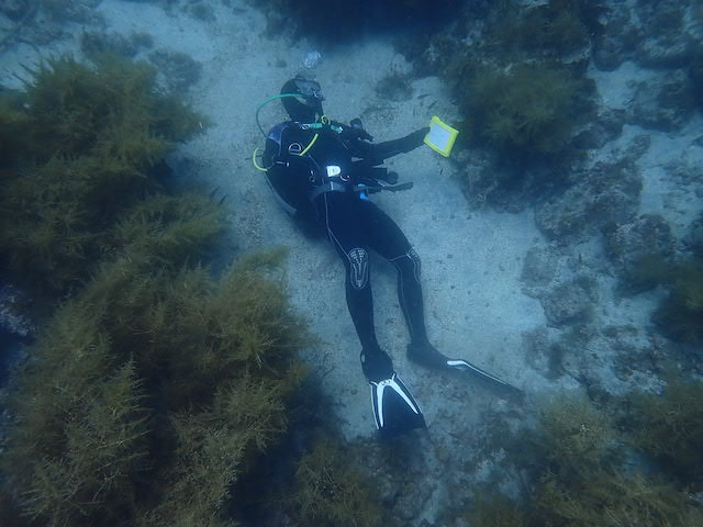 ダイブショップサンライズ　青海島