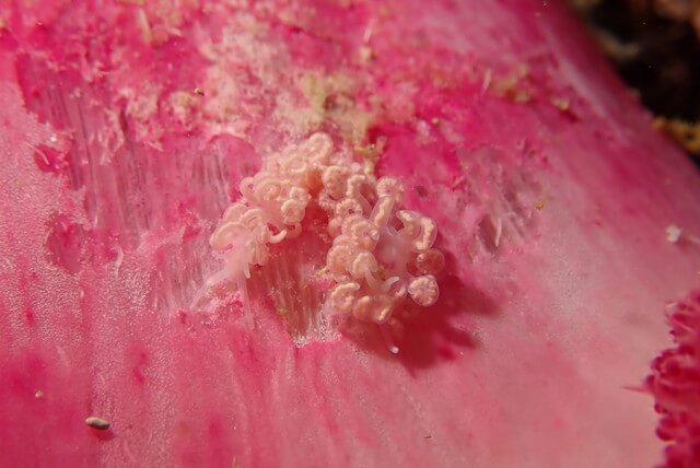 ダイブショップサンライズ　唐津