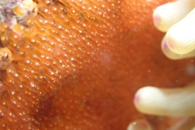 ダイブショップサンライズ　唐津