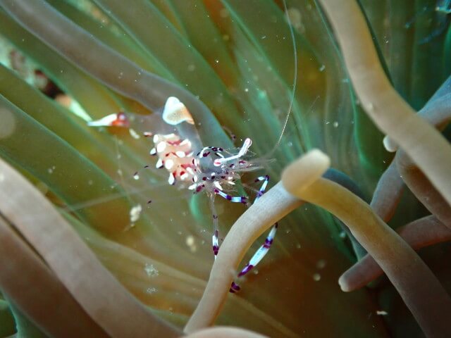 ダイブショップサンライズ　唐津