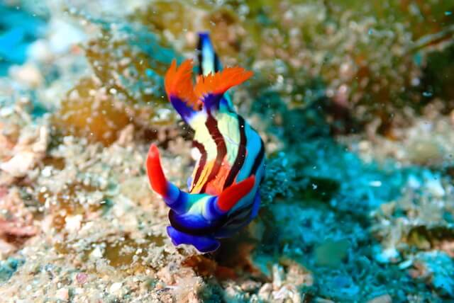 ダイブショップサンライズ　唐津