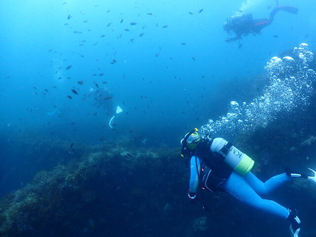 ダイブショップサンライズ　唐津