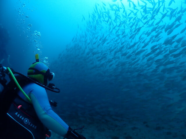 ダイブショップサンライズ　唐津