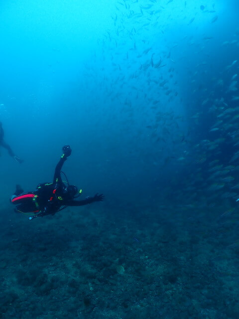 ダイブショップサンライズ　唐津