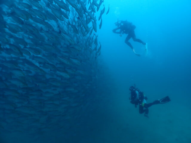 ダイブショップサンライズ　唐津