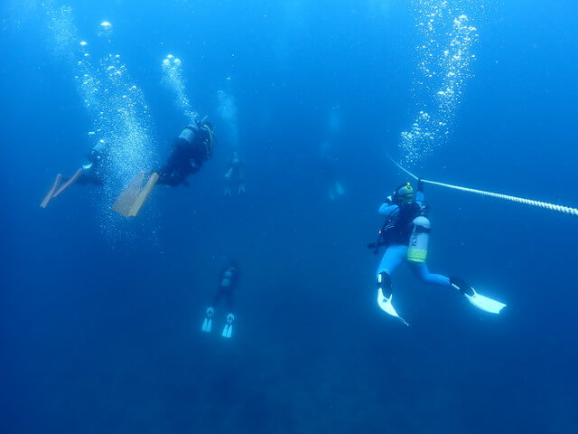 ダイブショップサンライズ　唐津