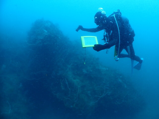 ダイブショップサンライズ　唐津