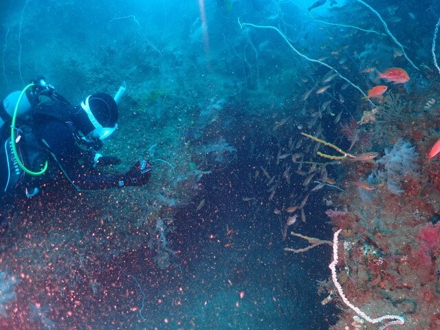 ダイブショップサンライズ　唐津