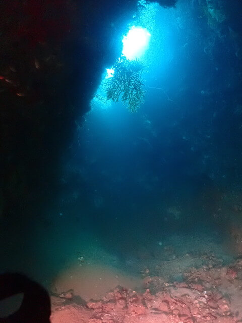 ダイブショップサンライズ　唐津