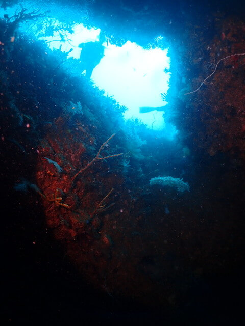 ダイブショップサンライズ　唐津