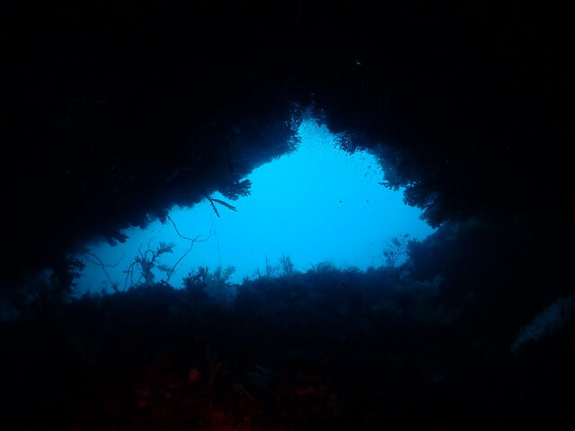 ダイブショップサンライズ　唐津