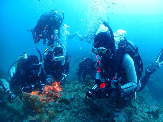 ダイブショップサンライズ　唐津