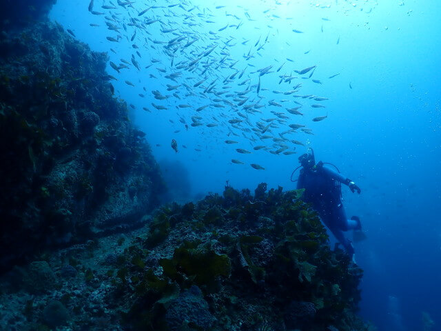 ダイブショップサンライズ　唐津