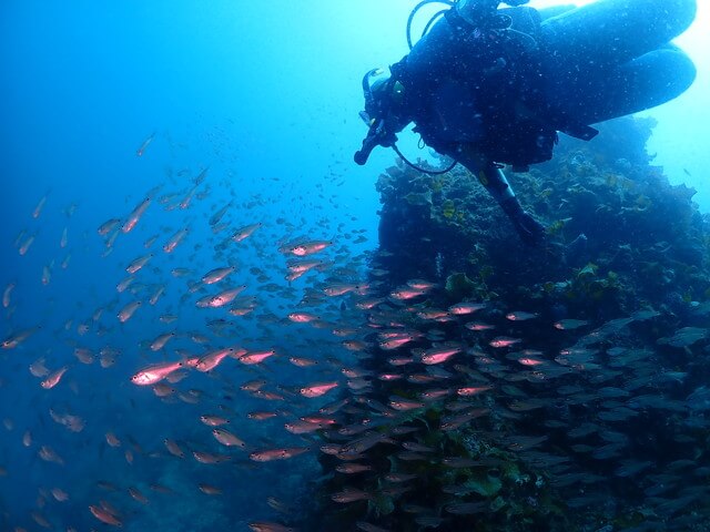 ダイブショップサンライズ　唐津