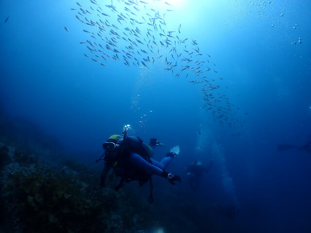 ダイブショップサンライズ　唐津