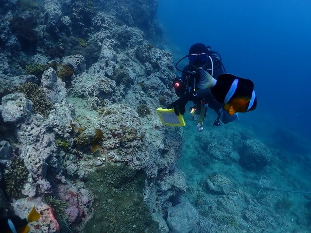 ダイブショップサンライズ　唐津