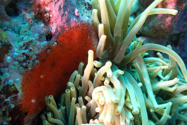 ダイブショップサンライズ　唐津